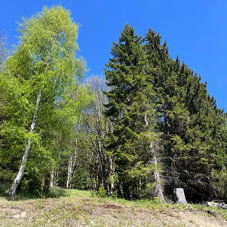 Penzion Goscinne Lesny Zakatek Sienna (Klodzko)